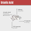 URSOLIC ACID 300MG (CONTAINS 100MG OF ROSEMARY LEAF EXTRACT STANDARDIZED TO 150% OR 300MG URSOLIC ACID) 120 CAPSULES.